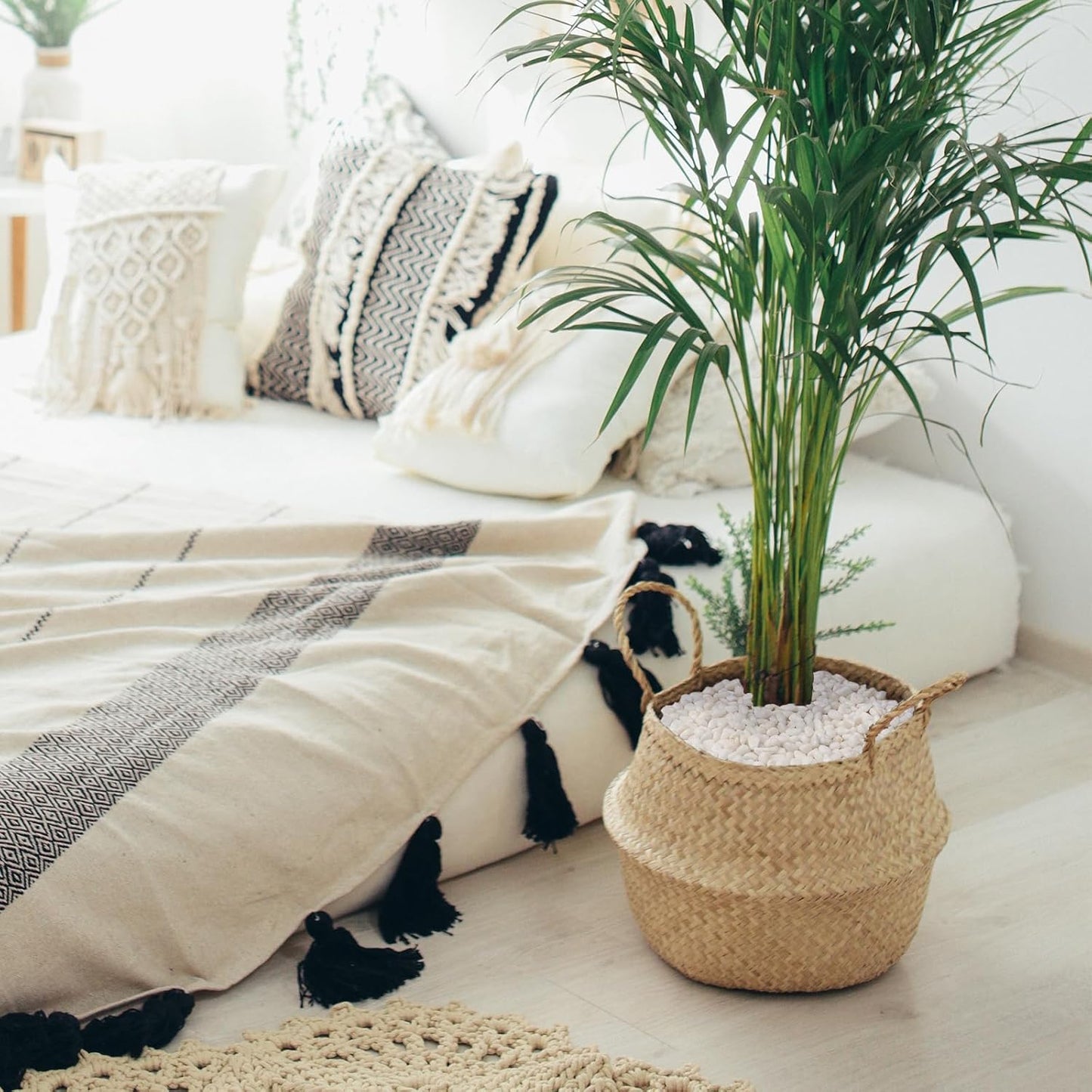 5 lbs White Pebbles for Vases, 3/8" Small Plant Rocks for Pots Indoor, Decorative Pea Gravel for Succulents, Bamboo, Terrarium, Landscape, Garden