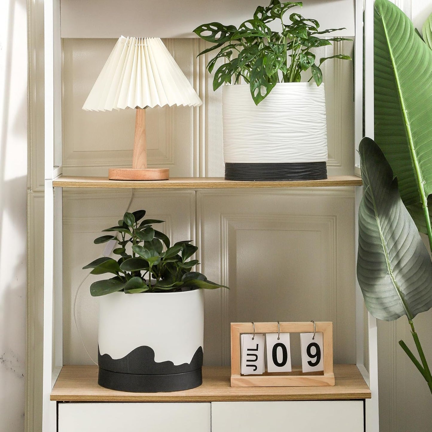 Nihow Ceramic Plant Pot: 8 Inch Planter with Drainage Hole & Saucer for Indoor & Outdoor Plants - Cylinder Round Flower Pot for Succulent/Herbs/Violets - White & Wave Black