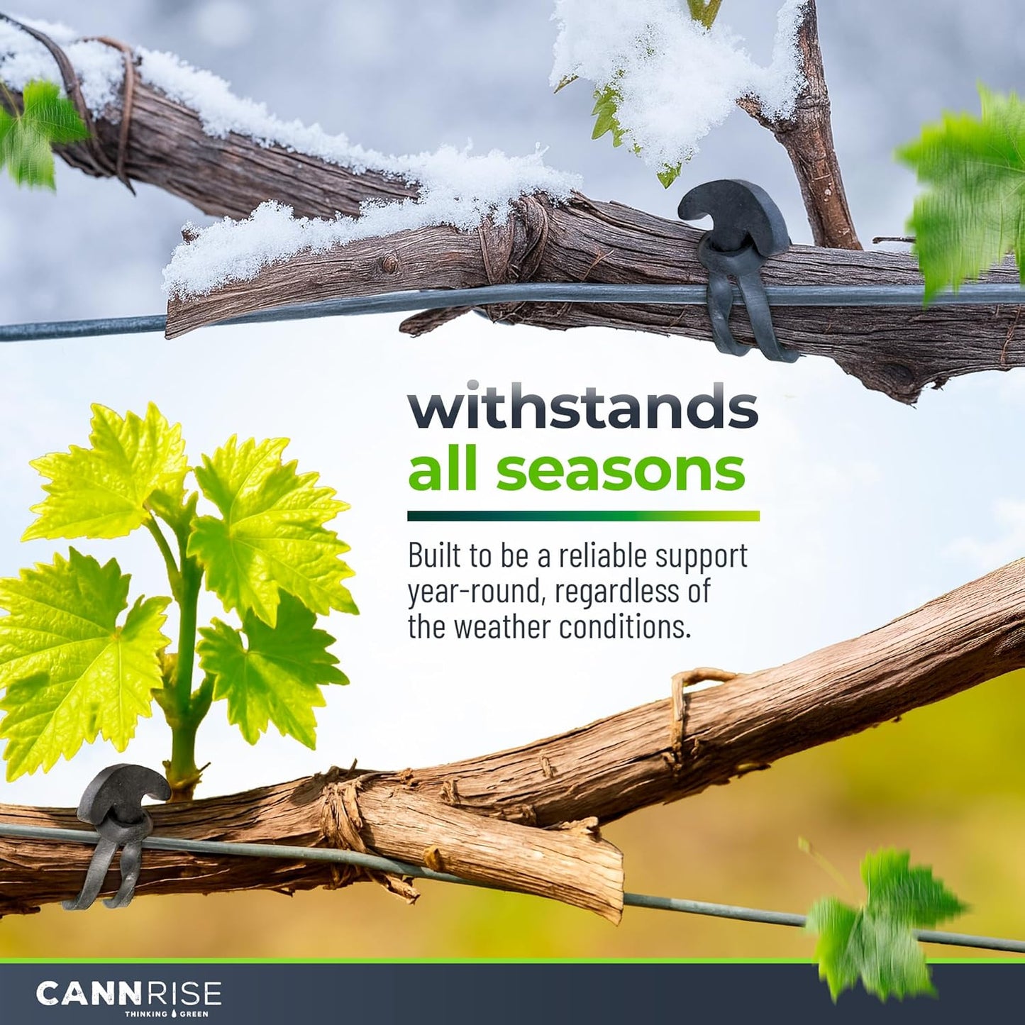 Anchor Rubber Bands for Trellising – 33 Pack of 12 cm/4.72 inches Rubber Bands for Outdoor Plant Support, Climbing Plants, Grape Vines, Trees – UV-Protected, Elastic, Multi-Purpose Use