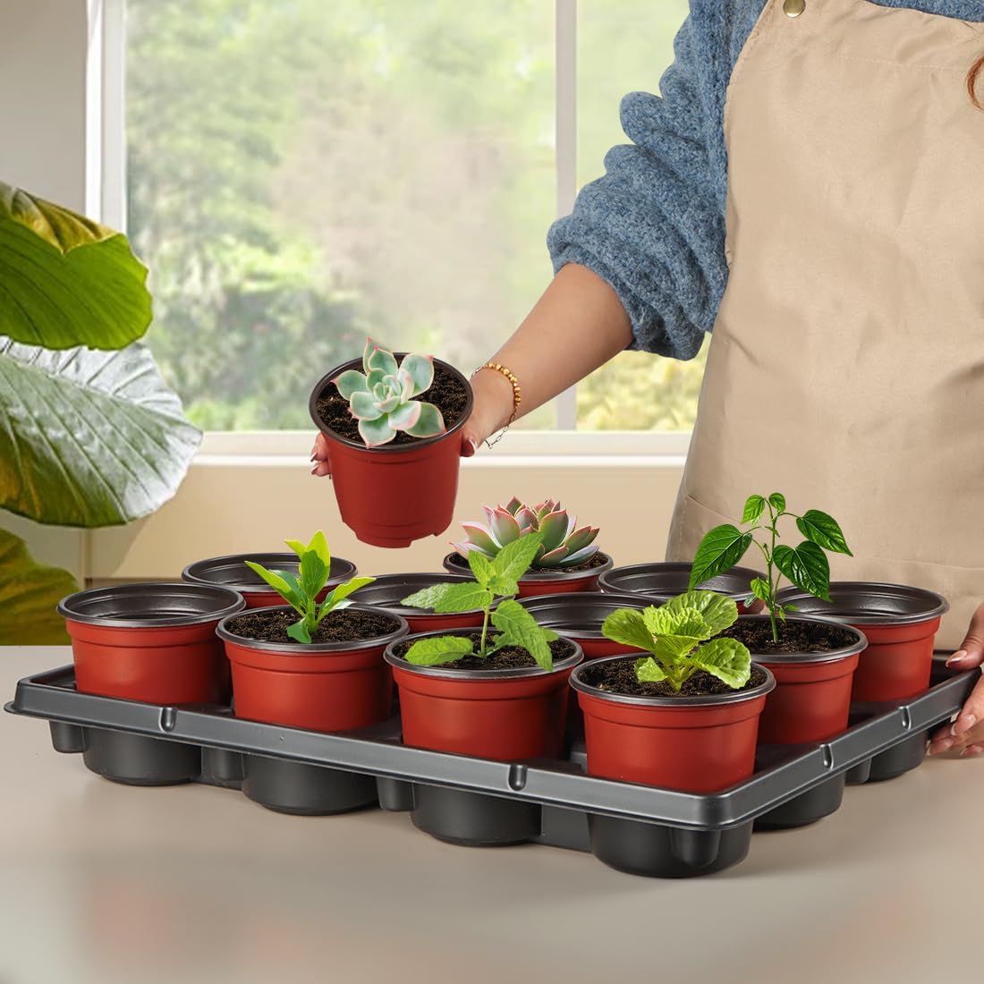 4 inch Round Nursery Pots 60pcs, 12 Cell Nursery Pots Trays 5 Pcs, Sturdy Seeds Starting Germination Shuttle Carrying Trays, Small Planter Nursery Propagation 5 Sets