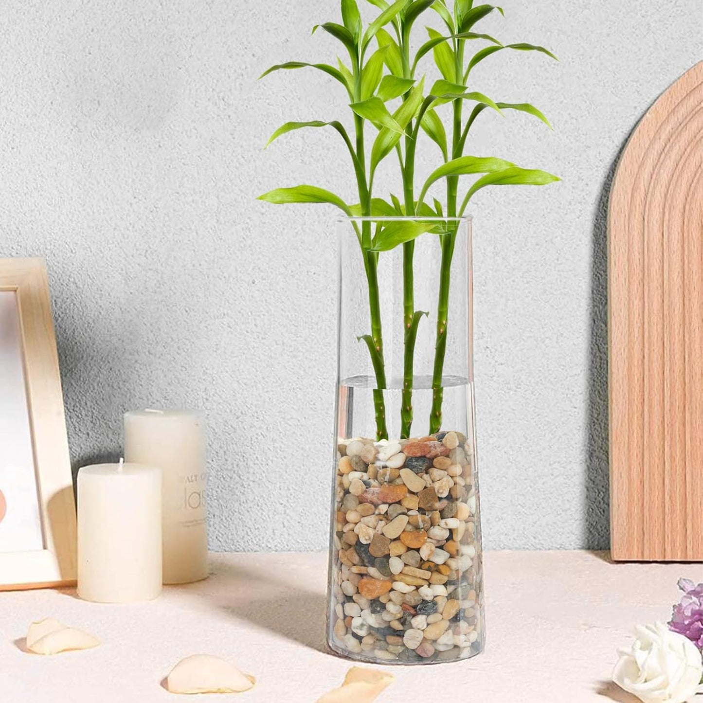 GASPRO 5 Pound Pebbles for Indoor Plants, 3/8 Inch Decorative Rocks for Vase, Succulents, Highly Polished, Mixed Color