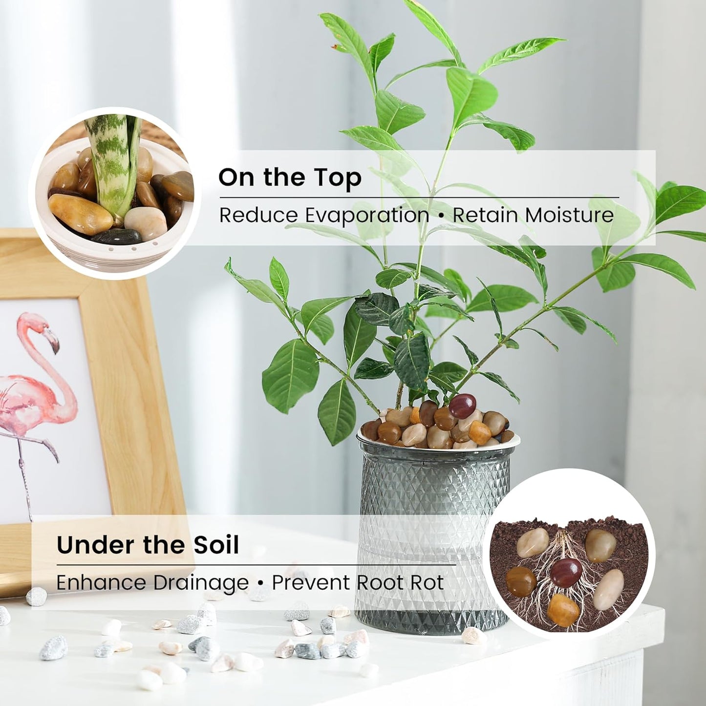 SIDONG 10 LB Mixed River Rocks, 0.3-0.5 Inches High Polished Pebbles for Indoor Plants, Aquarium Rocks Used in Fish Tank, Decorative Stones for Plants, Vases, Home Décor, Crafting, Garden Landscaping