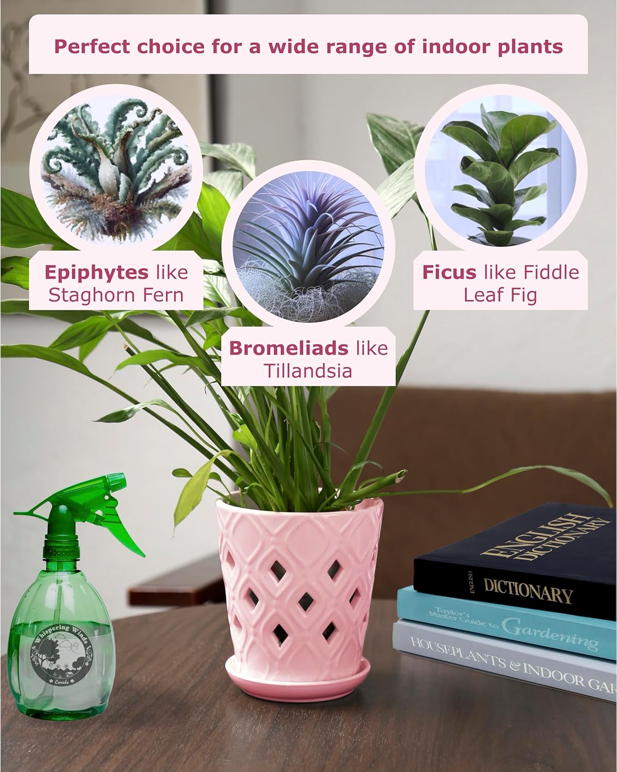 Whispering Winds Ceramic 5 x 6 Inch Orchid Pot with Holes & Saucer for Aeration and Drainage - Decorative Orchid Pots for Repotting, Prevent Over Watering & Root Rot (Cavern Pink)